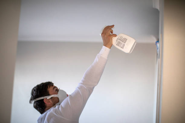 Professional Mold Removal in Pleasant Hill, CA