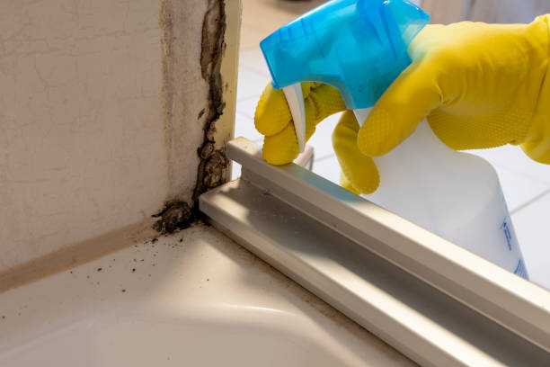 Best Mold Testing  in Pleasant Hill, CA