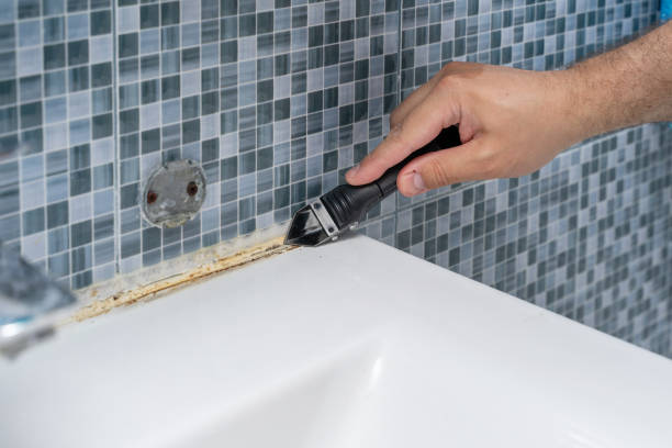 Mold Testing and Removal in Pleasant Hill, CA