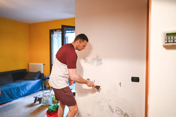 Office Mold Removal Services in Pleasant Hill, CA