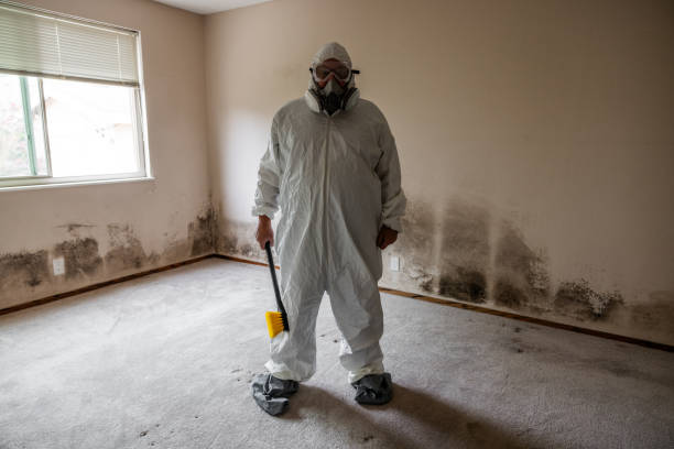 Best Mold Testing  in Pleasant Hill, CA